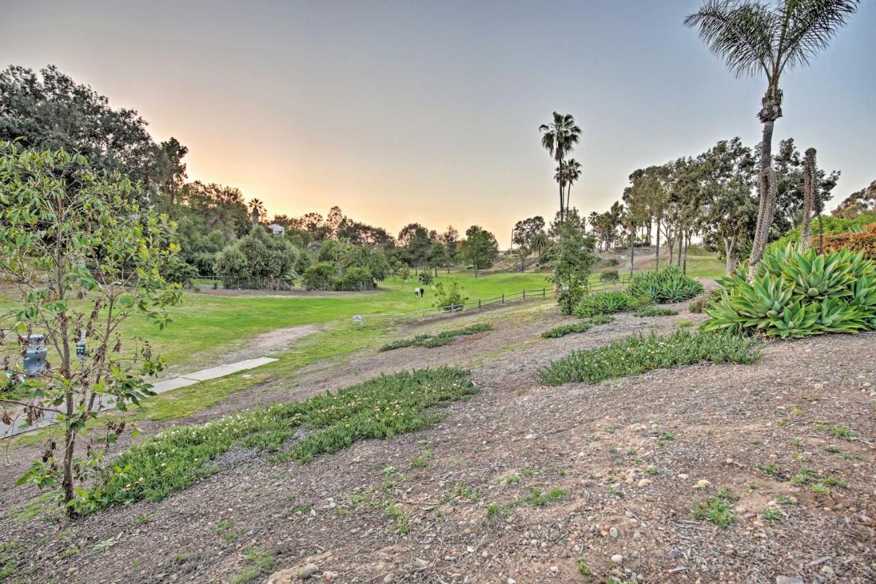 Quaint La Mesa Home With Beautiful Sunsets! מראה חיצוני תמונה